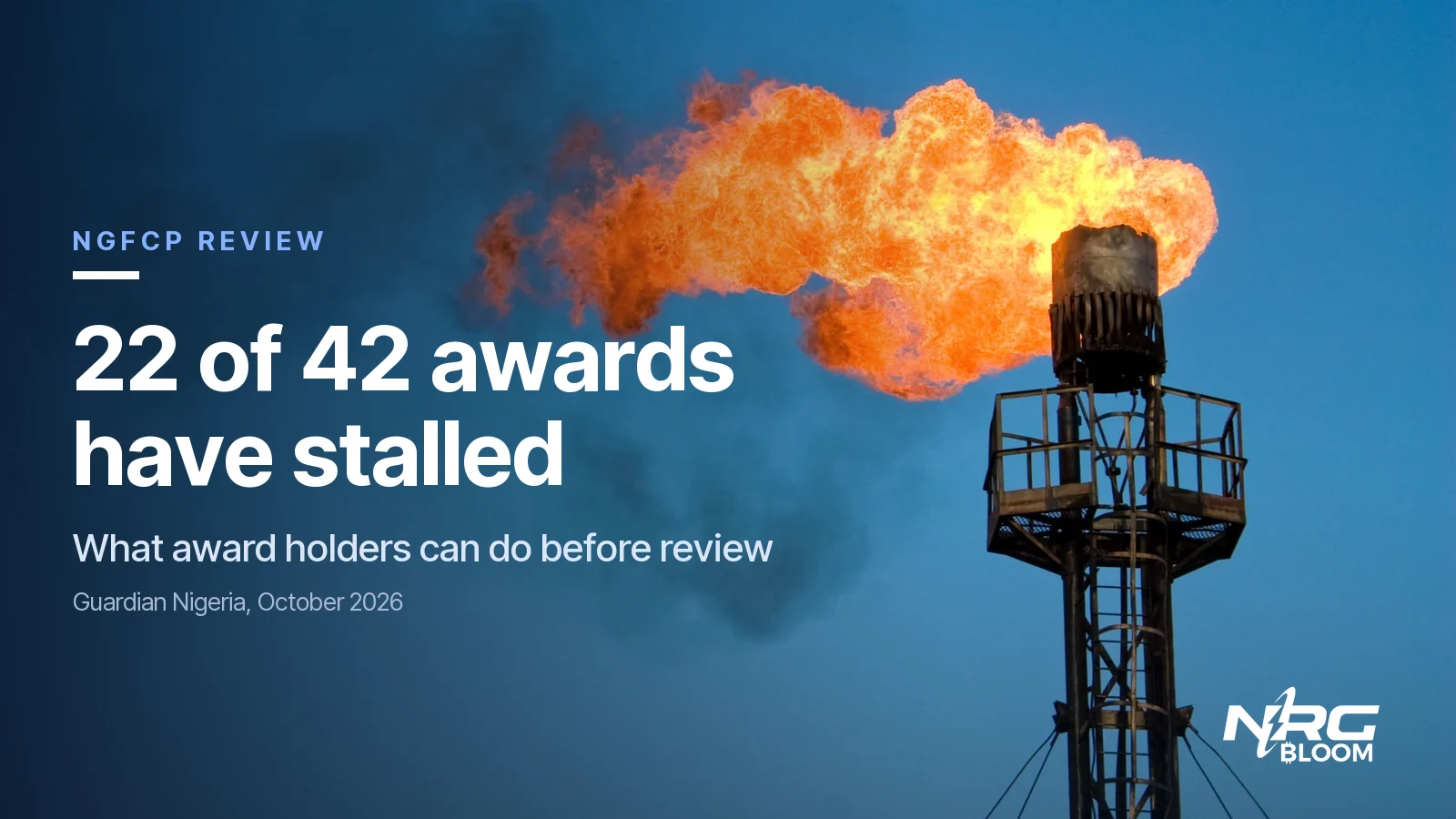 NGFCP review: 22 of 42 awards have stalled